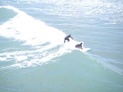 Christchurch-18