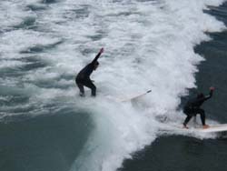 Christchurch-23
