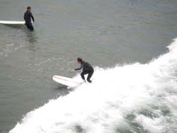 Christchurch-28