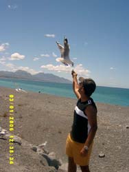 Kairoura-5