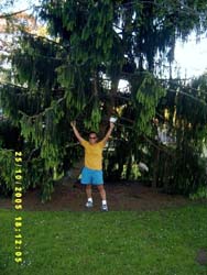 MinoguePark-10