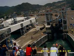 WellToPicton-19
