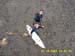 RaglanSurf1-13